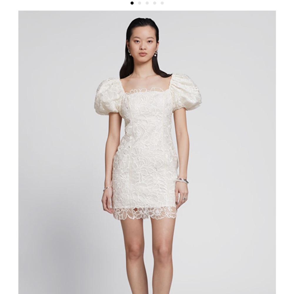 & Other Stories Bubble Sleeve Organza Mini Dress